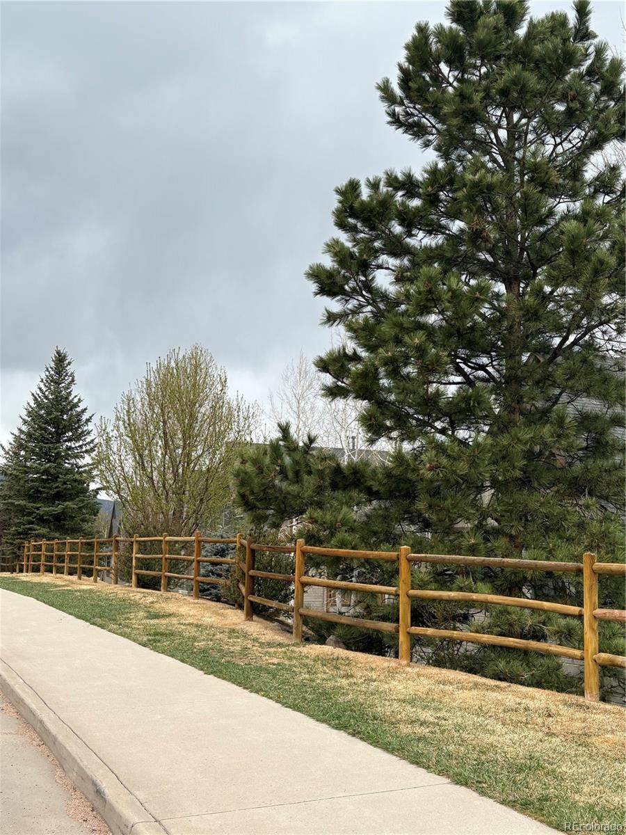 MLS Image #22 for 31276  stone canyon road,evergreen, Colorado