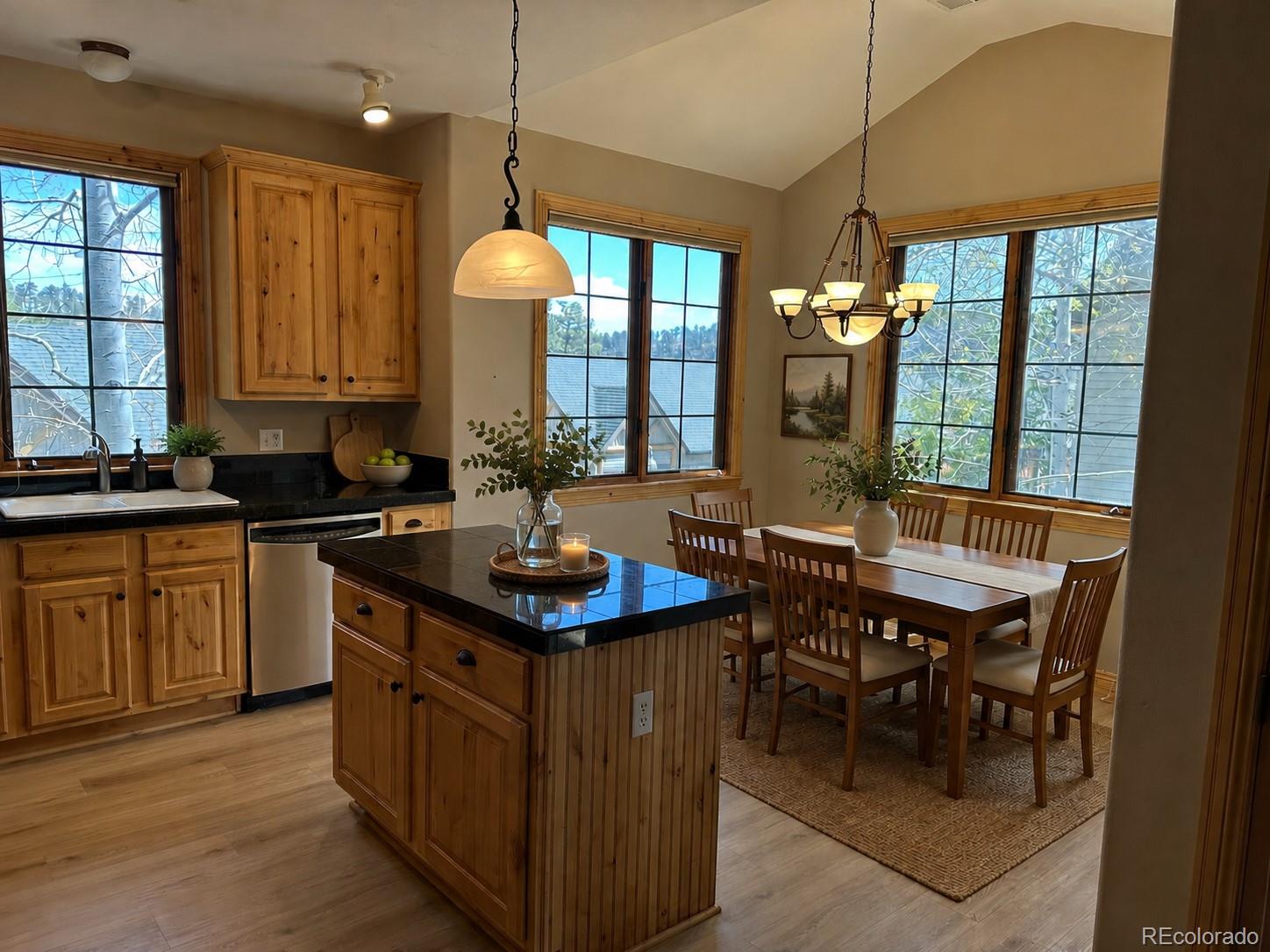 MLS Image #3 for 31276  stone canyon road,evergreen, Colorado