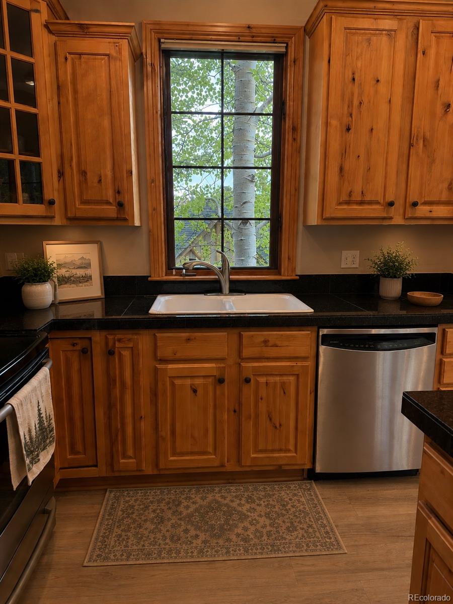 MLS Image #4 for 31276  stone canyon road,evergreen, Colorado