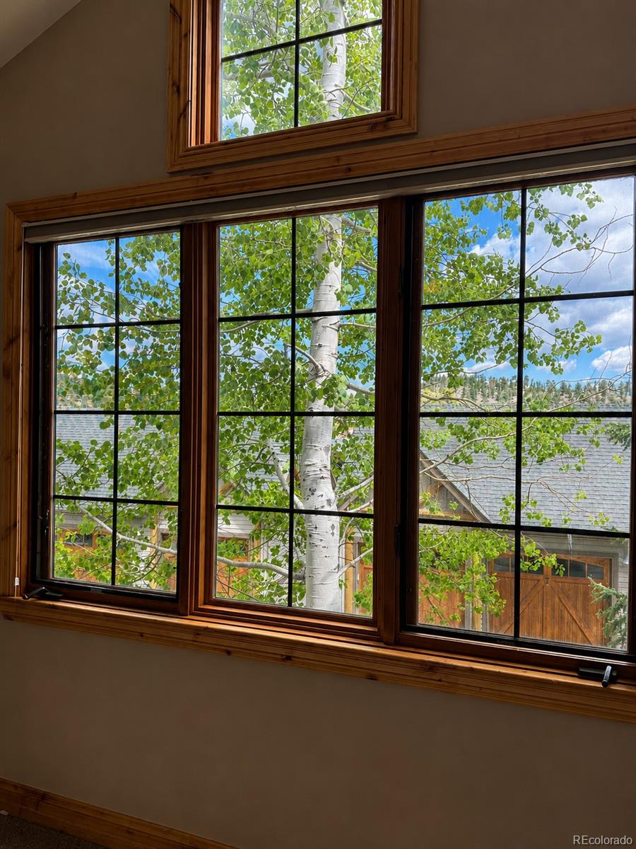 MLS Image #6 for 31276  stone canyon road,evergreen, Colorado