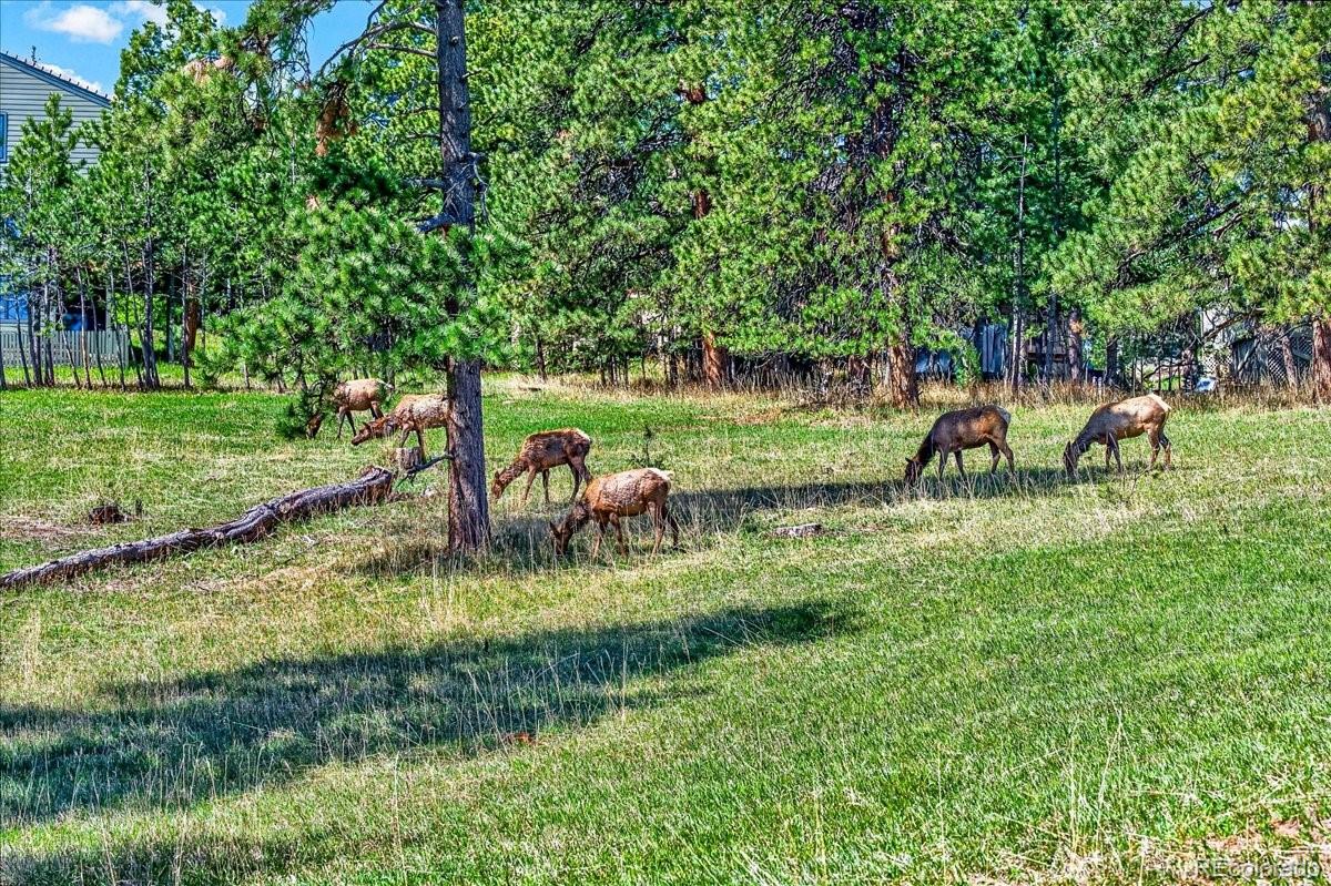 MLS Image #49 for 24386  currant drive ,golden, Colorado