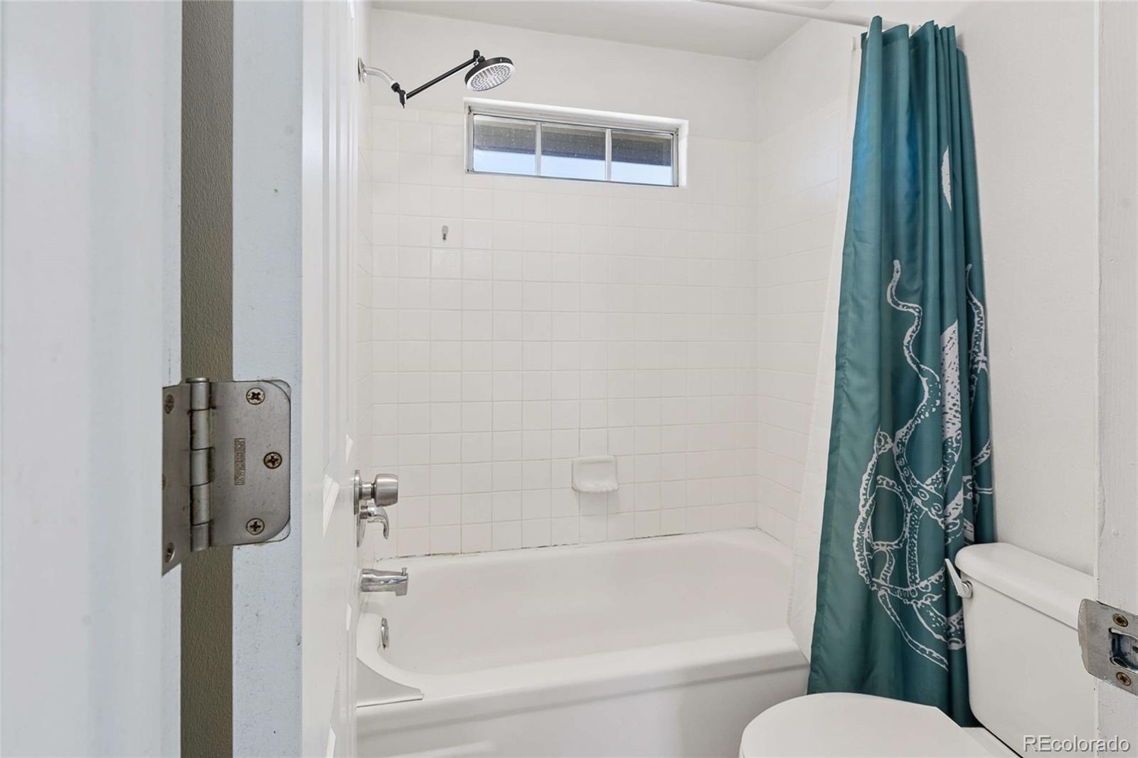 MLS Image #18 for 2003 s helena street,aurora, Colorado
