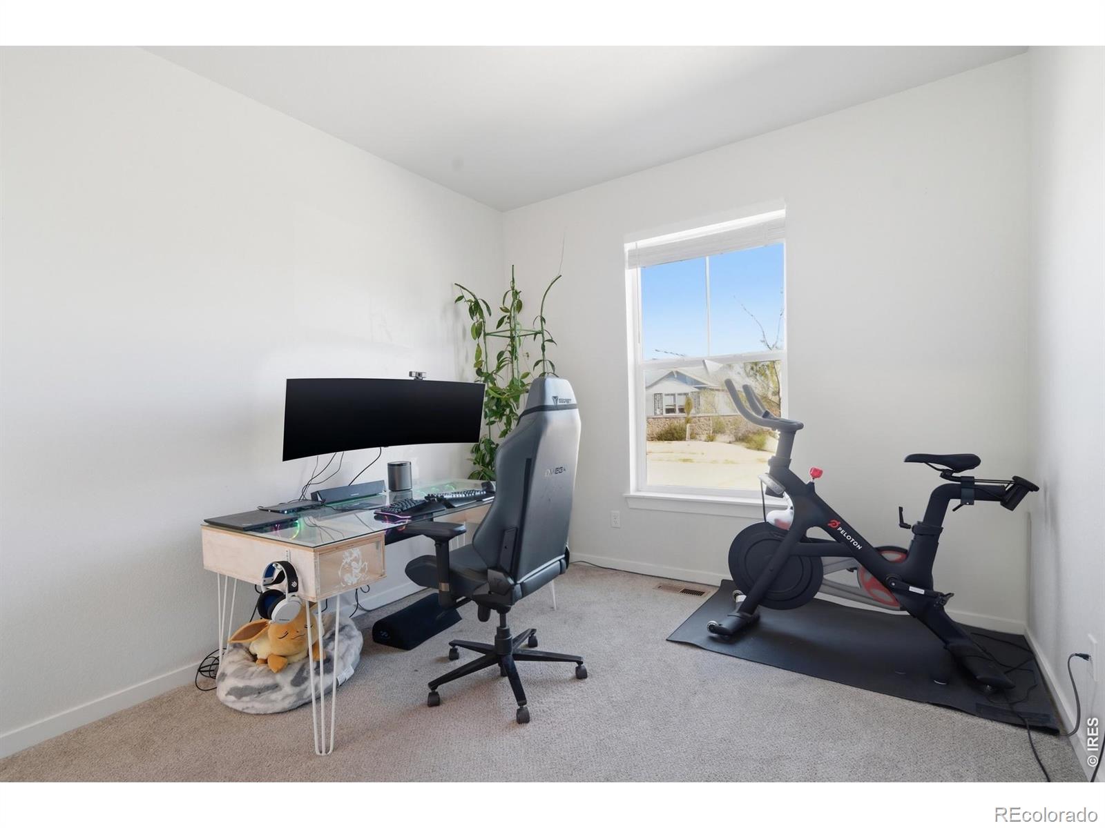 MLS Image #10 for 4274  martinson drive,loveland, Colorado