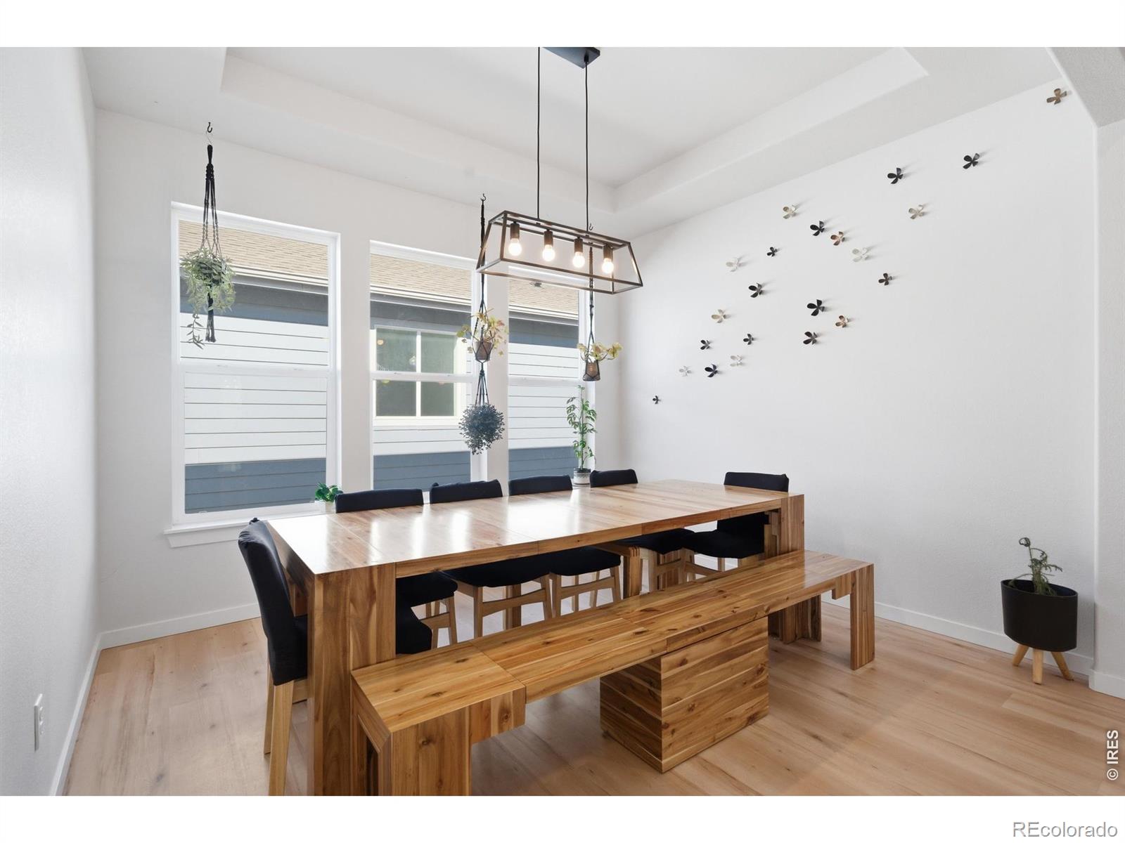 MLS Image #4 for 4274  martinson drive,loveland, Colorado
