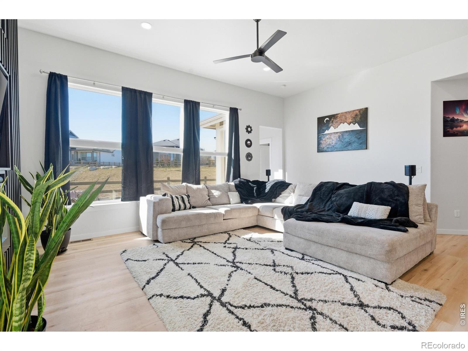 MLS Image #7 for 4274  martinson drive,loveland, Colorado