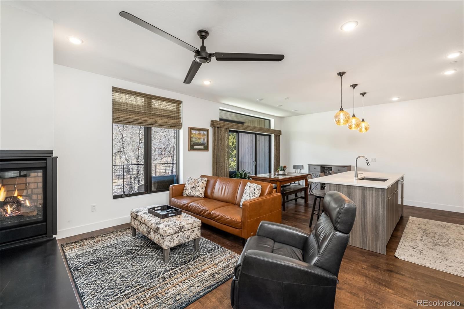 MLS Image #15 for 930  blue river parkway,silverthorne, Colorado