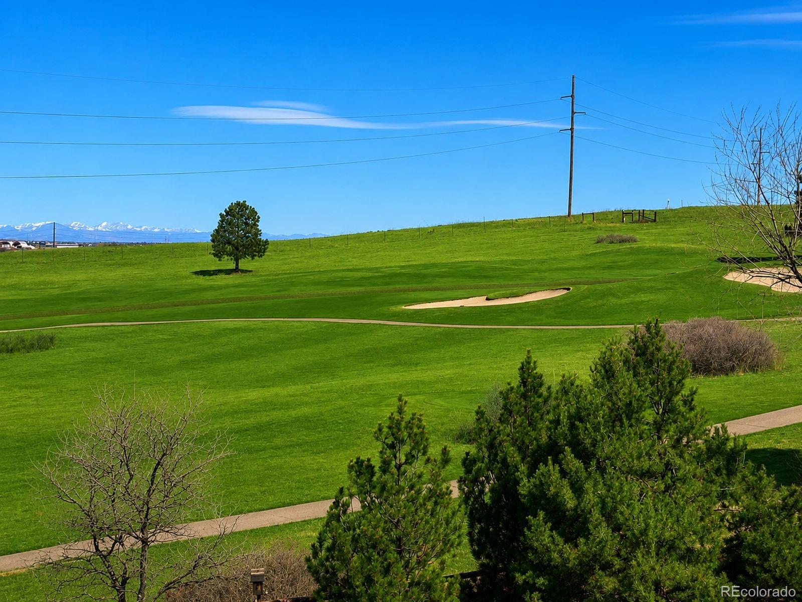 MLS Image #39 for 7119  dove court,parker, Colorado
