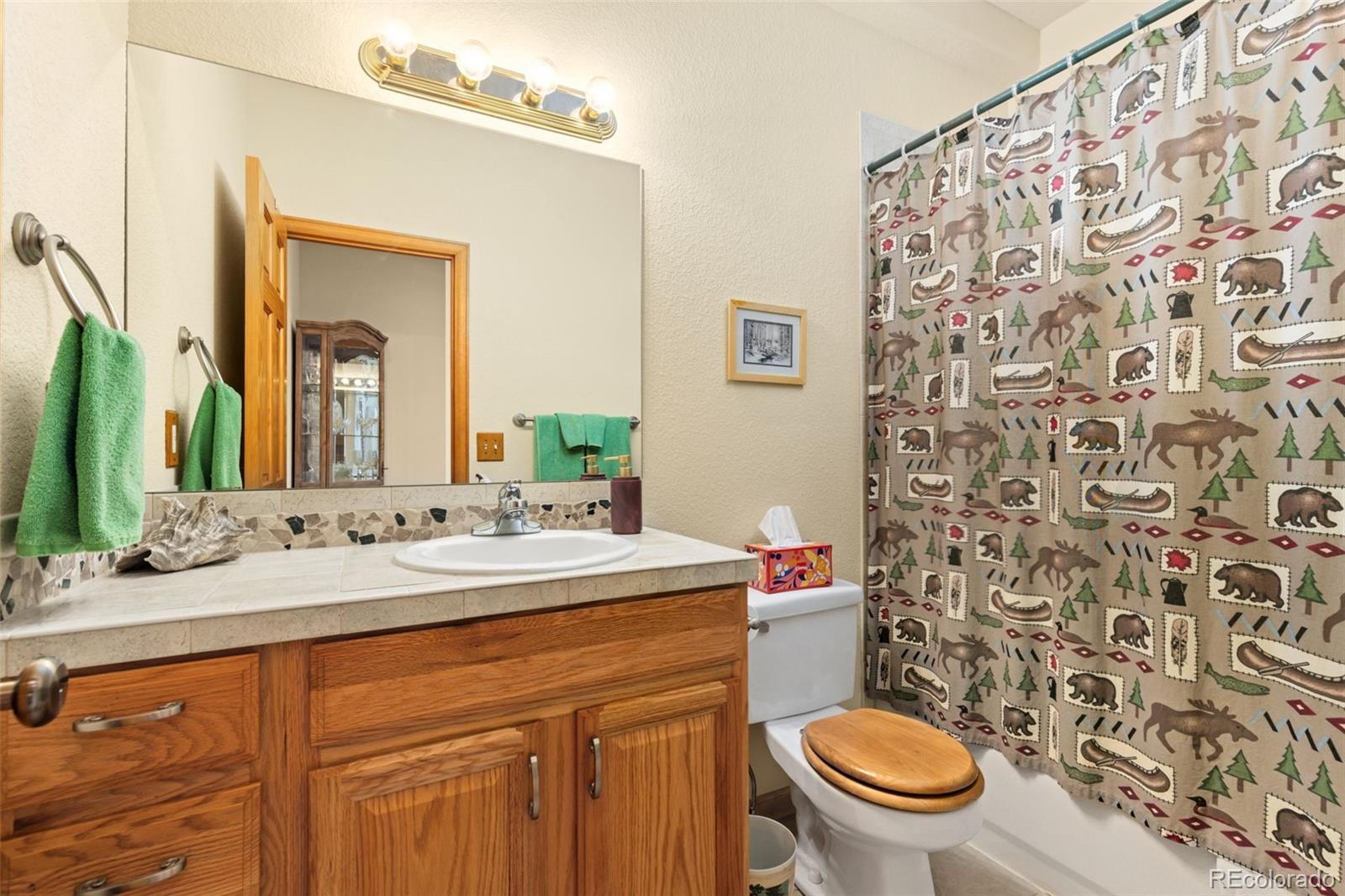 MLS Image #17 for 3667  joyful way,evergreen, Colorado