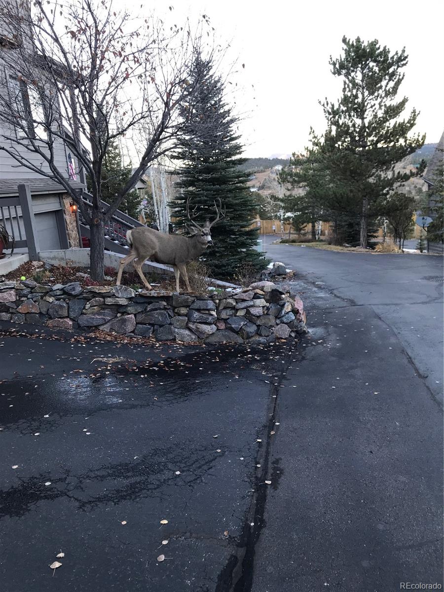 MLS Image #43 for 3667  joyful way,evergreen, Colorado