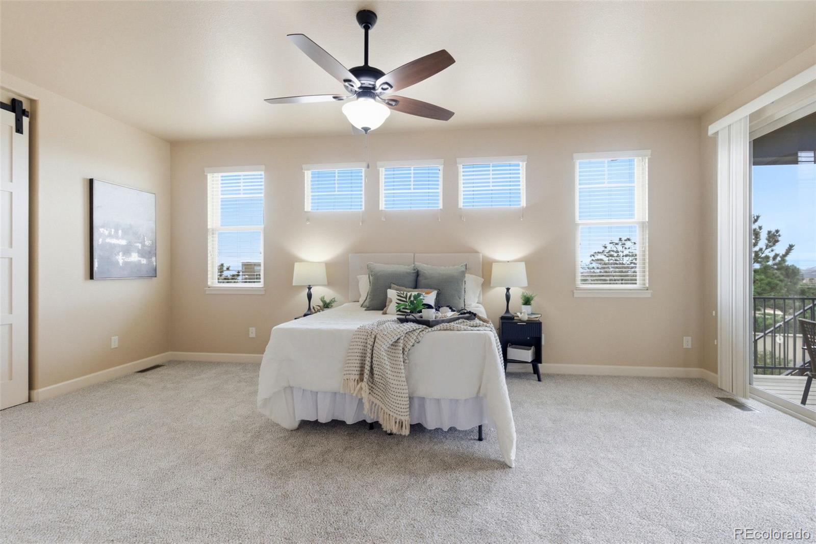 MLS Image #23 for 4734  portillo place,colorado springs, Colorado