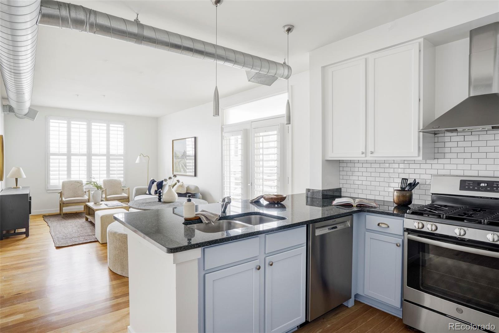 MLS Image #1 for 1313 s clarkson street 208,denver, Colorado