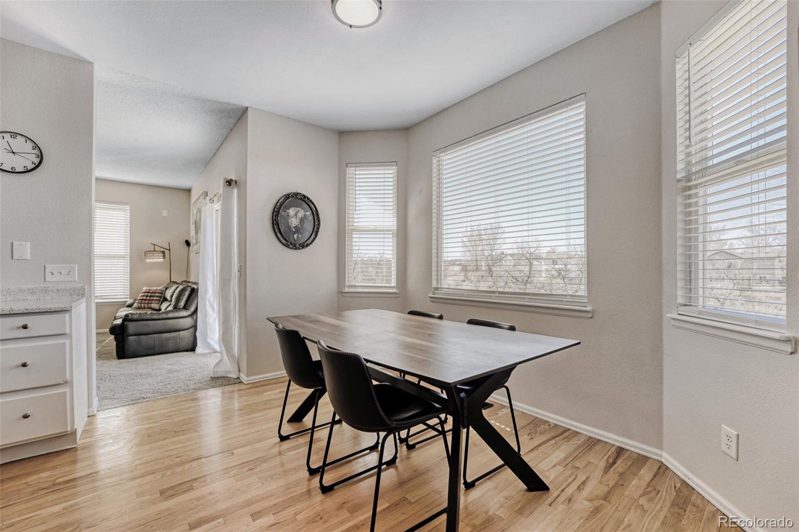 MLS Image #9 for 5121 s lisbon way,centennial, Colorado