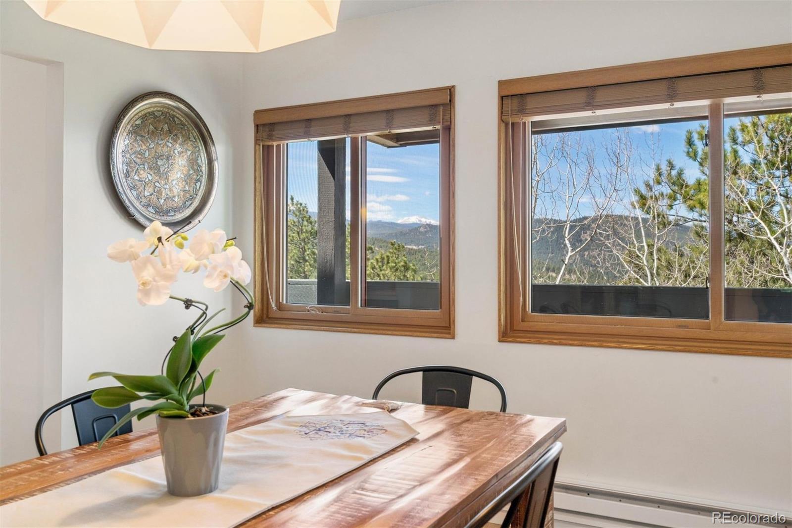 MLS Image #19 for 27383  mildred lane,evergreen, Colorado