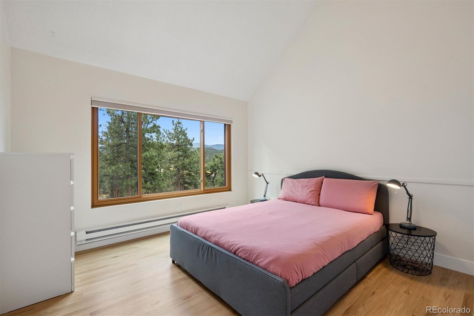 MLS Image #41 for 27383  mildred lane,evergreen, Colorado