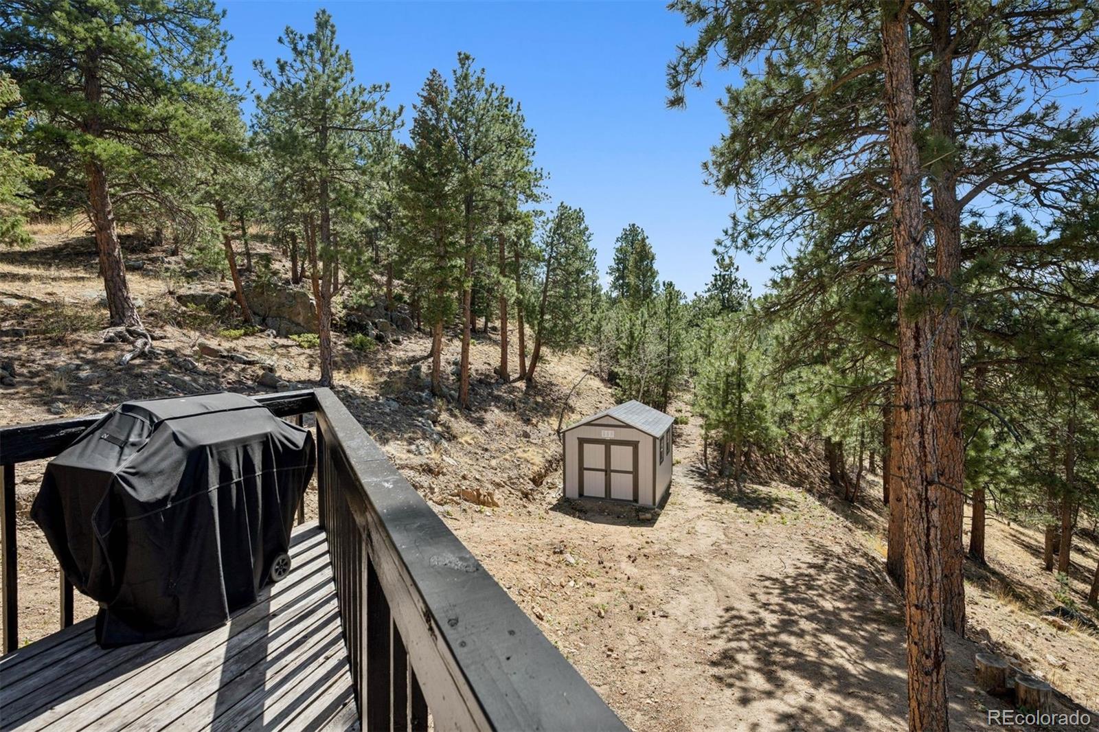 MLS Image #47 for 27383  mildred lane,evergreen, Colorado