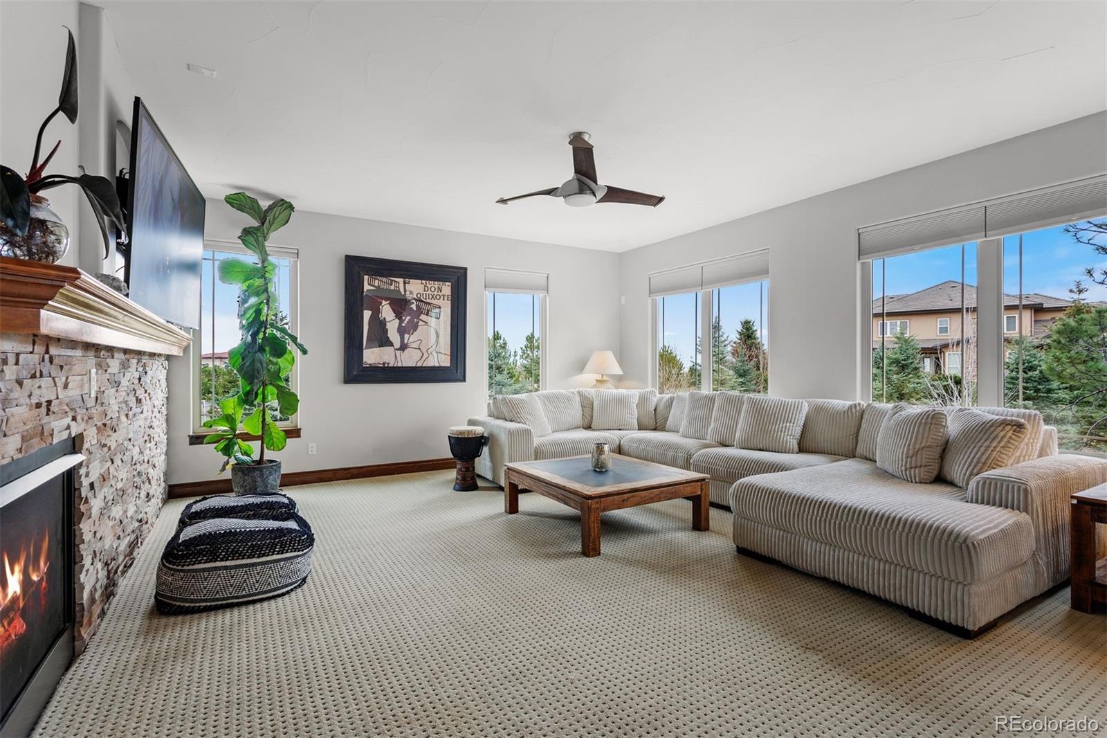 MLS Image #11 for 6708  tremolite court,castle rock, Colorado