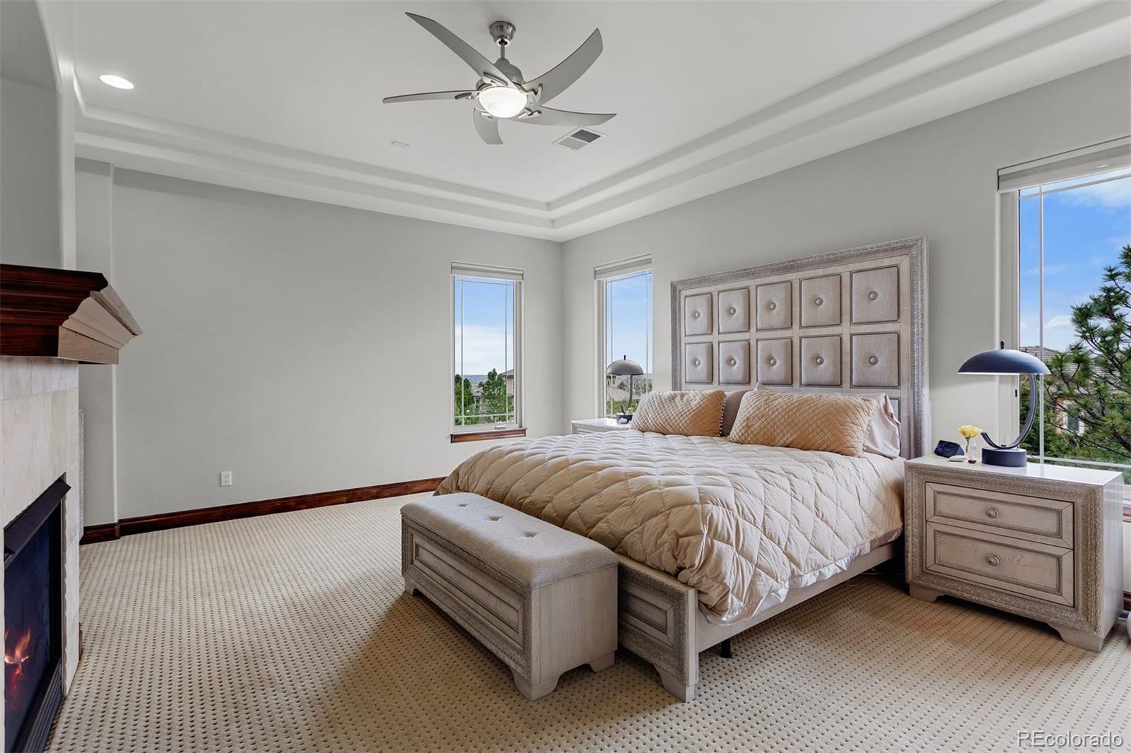MLS Image #19 for 6708  tremolite court,castle rock, Colorado
