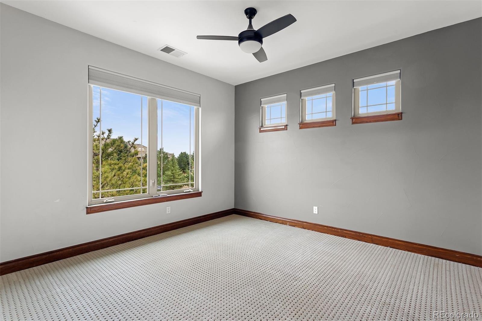 MLS Image #25 for 6708  tremolite court,castle rock, Colorado