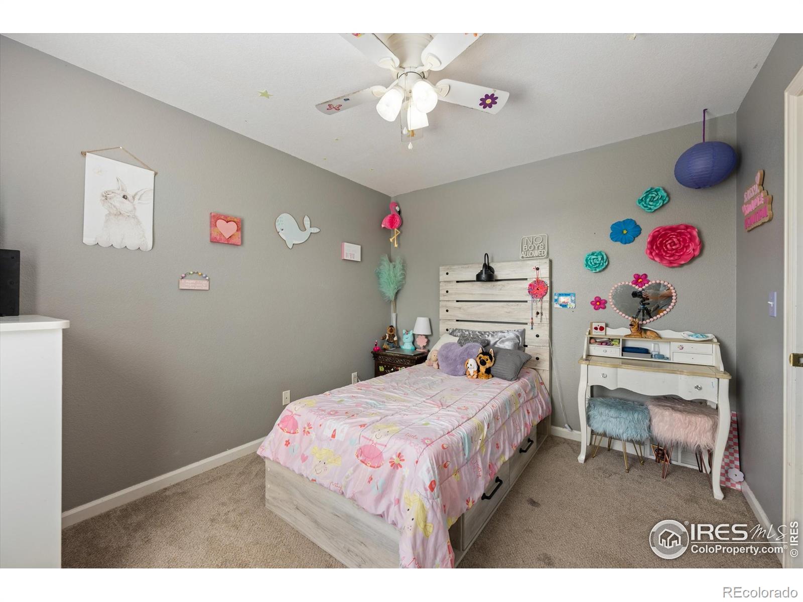MLS Image #20 for 253  buckeye avenue,eaton, Colorado