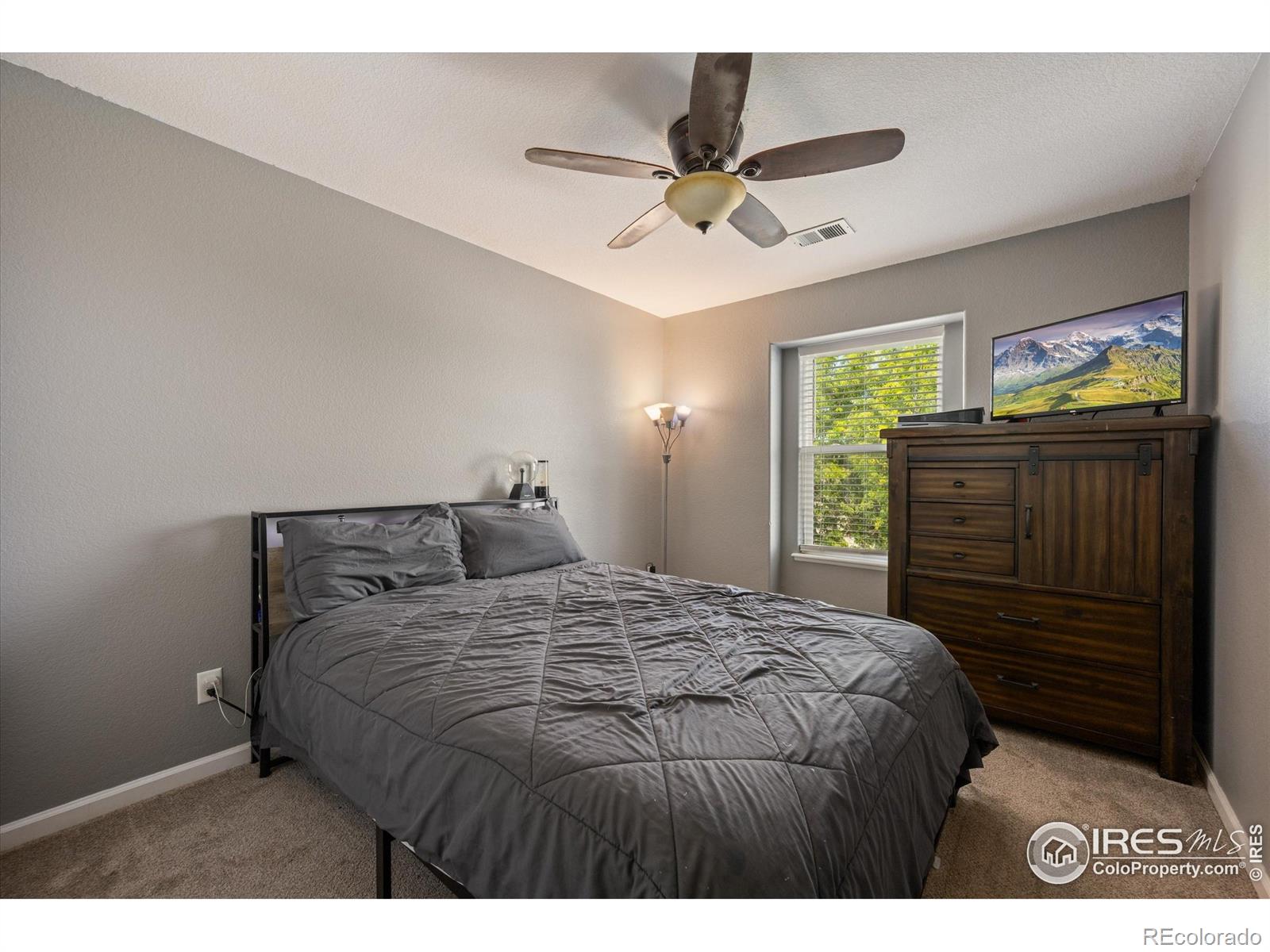 MLS Image #22 for 253  buckeye avenue,eaton, Colorado