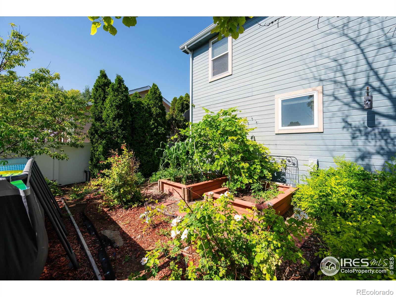 MLS Image #42 for 253  buckeye avenue,eaton, Colorado