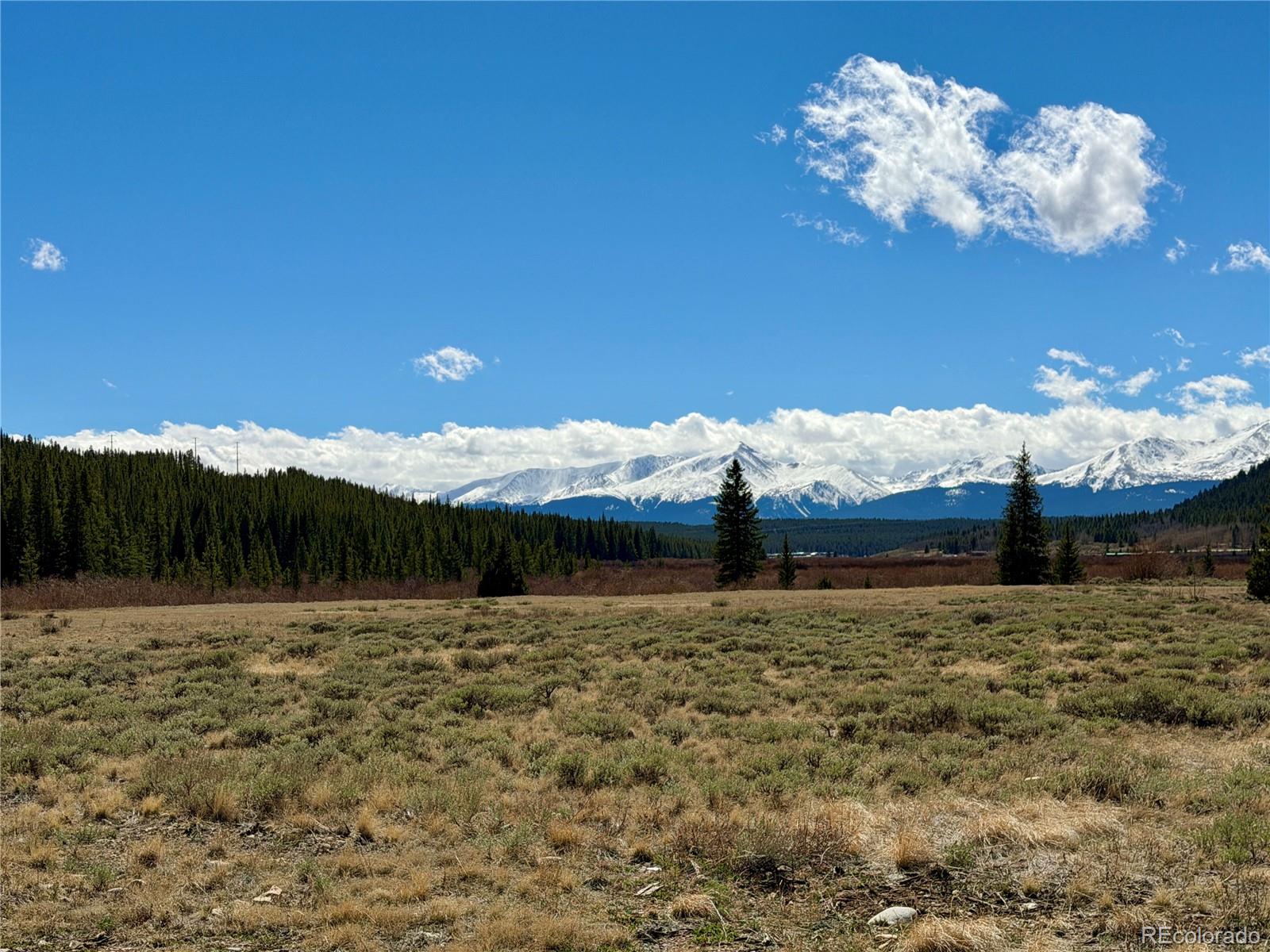 MLS Image #1 for 2926  highway 91 ,leadville, Colorado