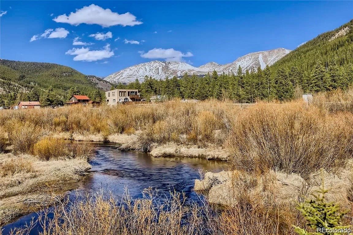 MLS Image #38 for 2926  highway 91 ,leadville, Colorado