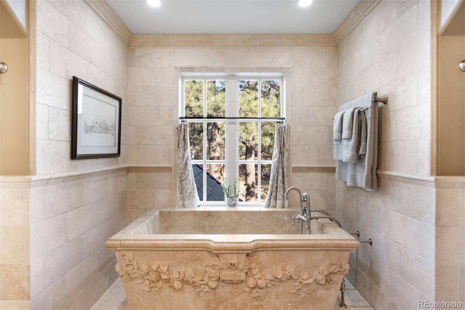 MLS Image #23 for 1107  northwood lane,castle rock, Colorado