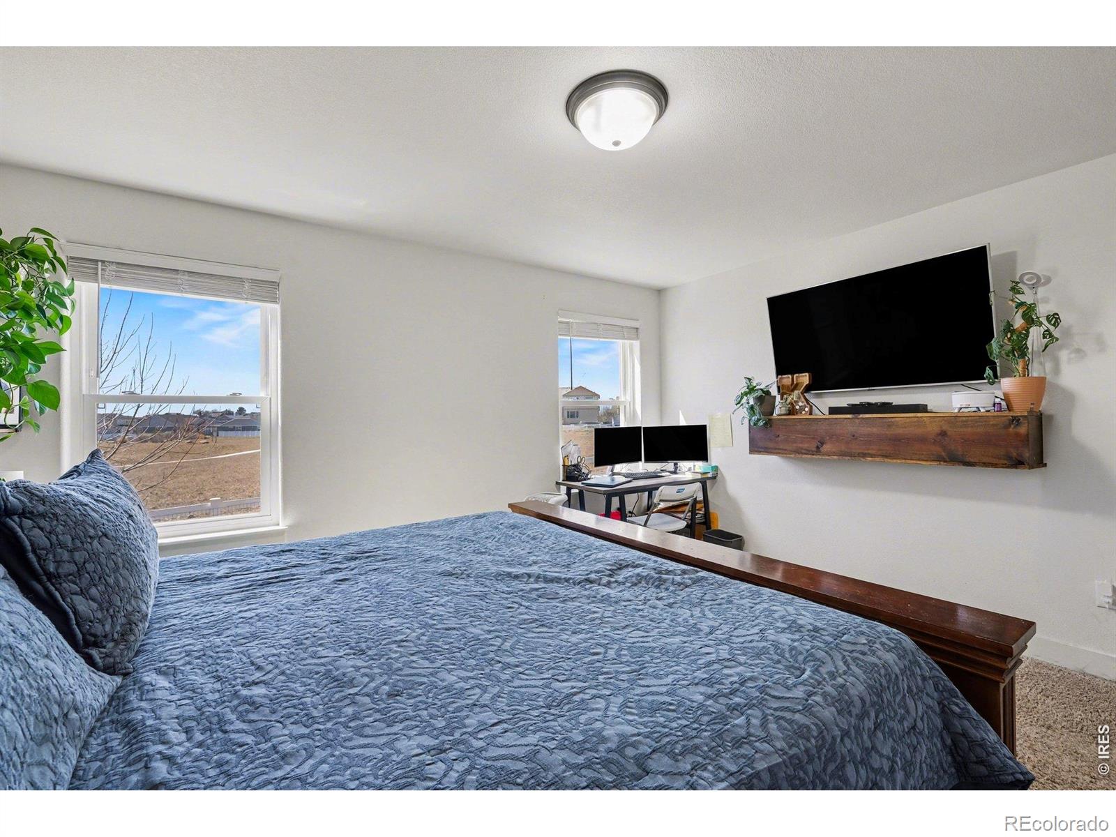 MLS Image #10 for 915  barasingha street,severance, Colorado