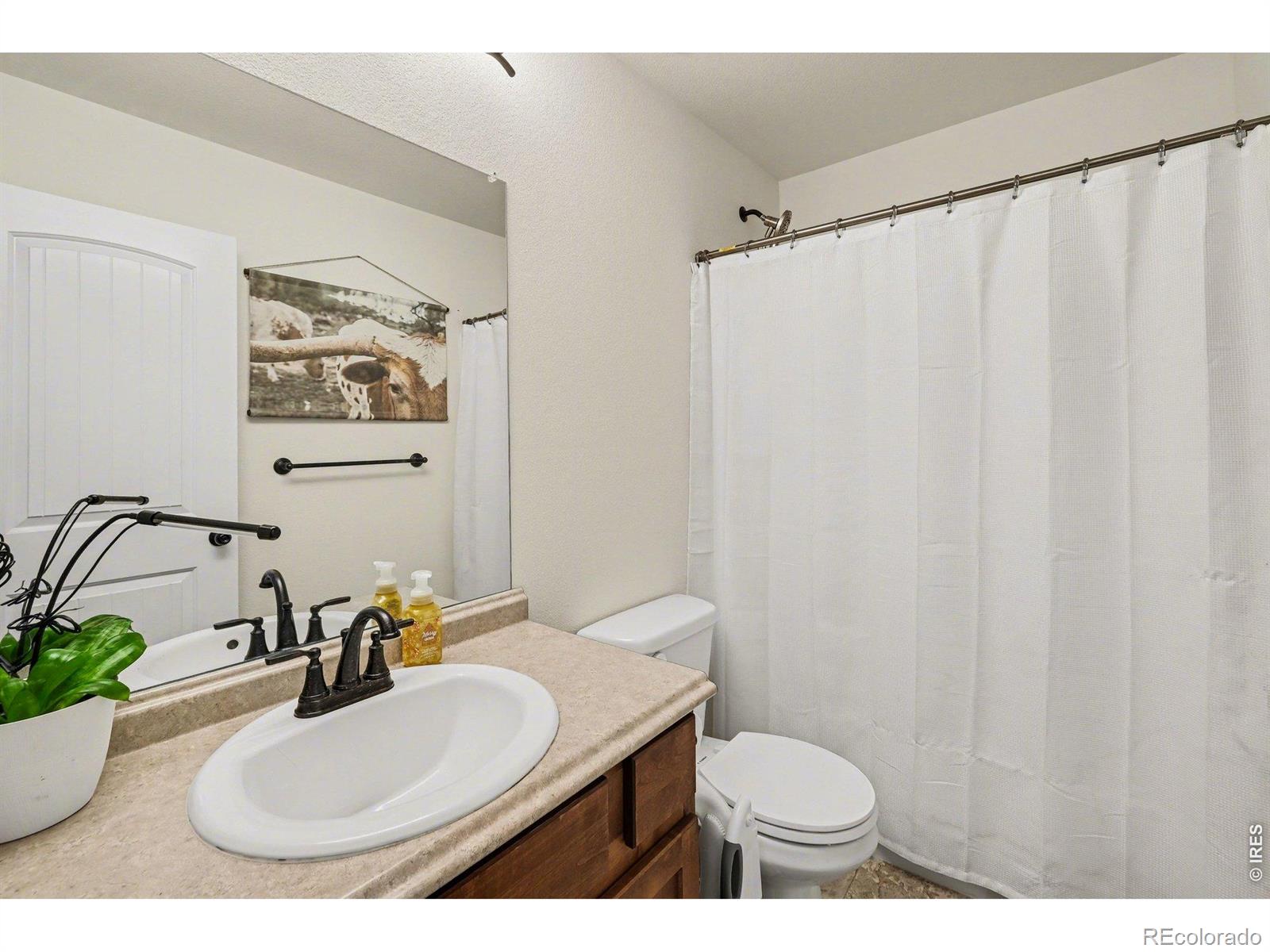 MLS Image #14 for 915  barasingha street,severance, Colorado