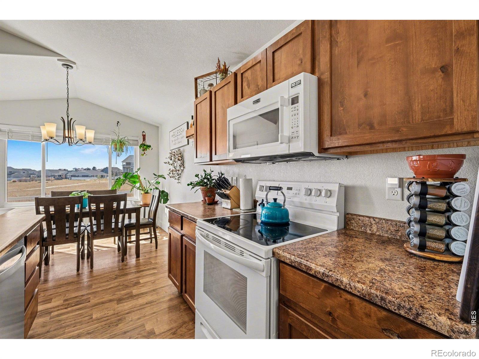 MLS Image #7 for 915  barasingha street,severance, Colorado
