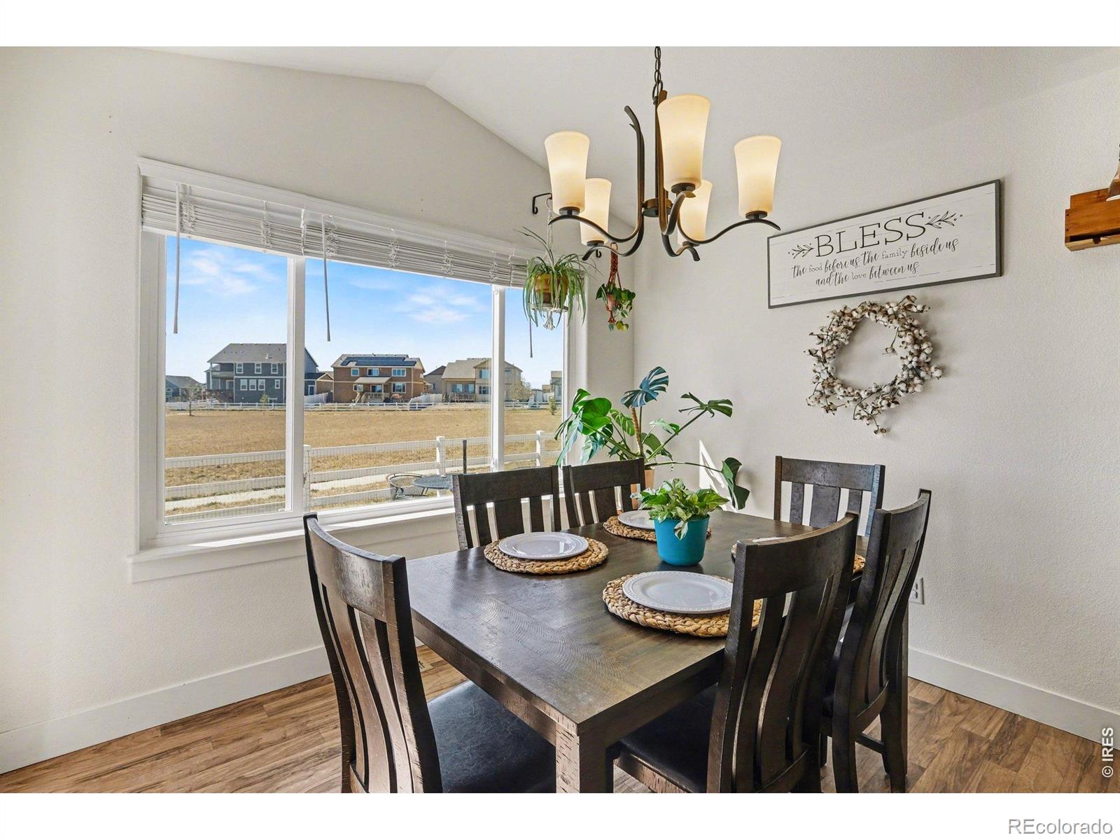 MLS Image #8 for 915  barasingha street,severance, Colorado