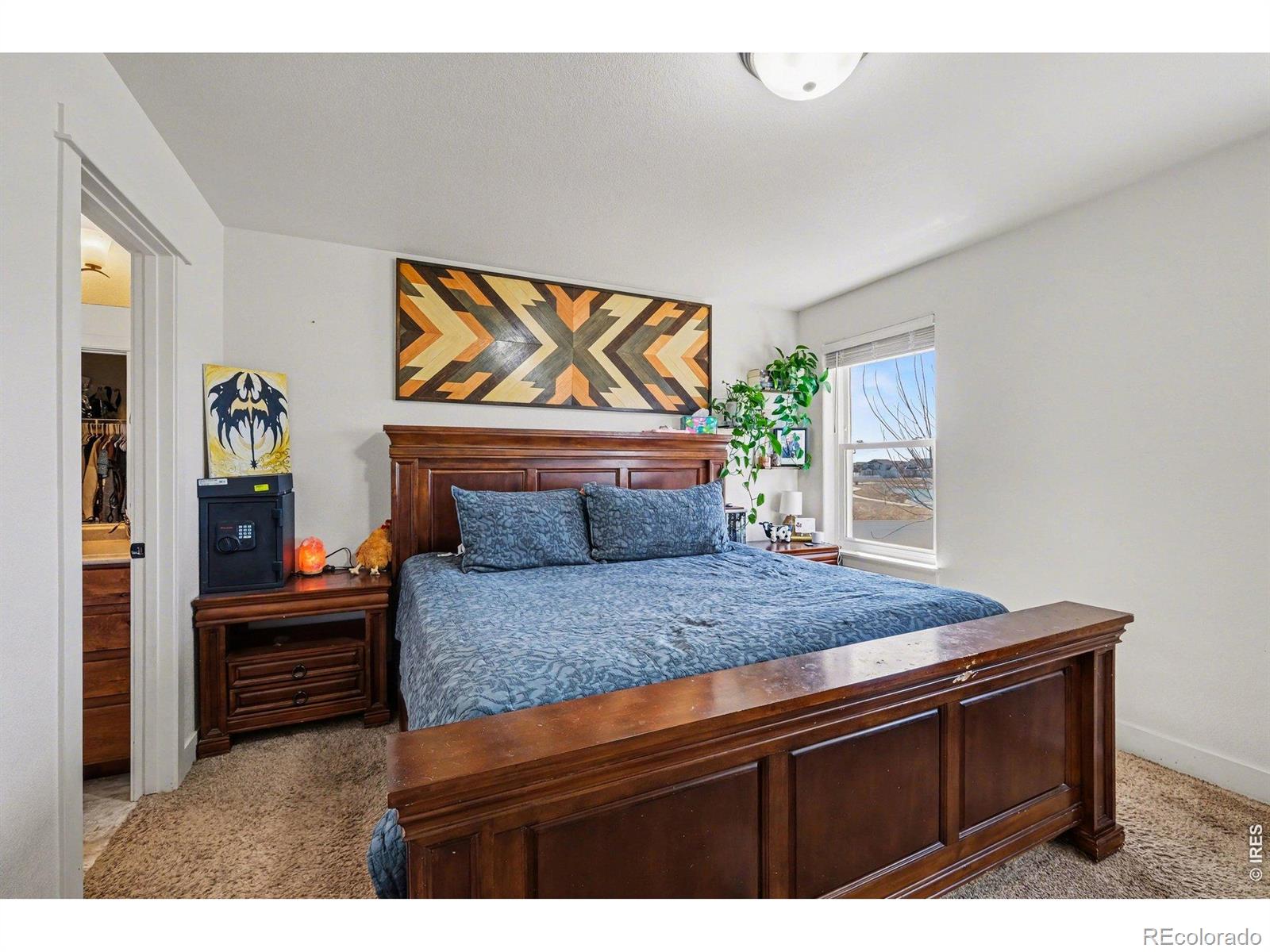 MLS Image #9 for 915  barasingha street,severance, Colorado