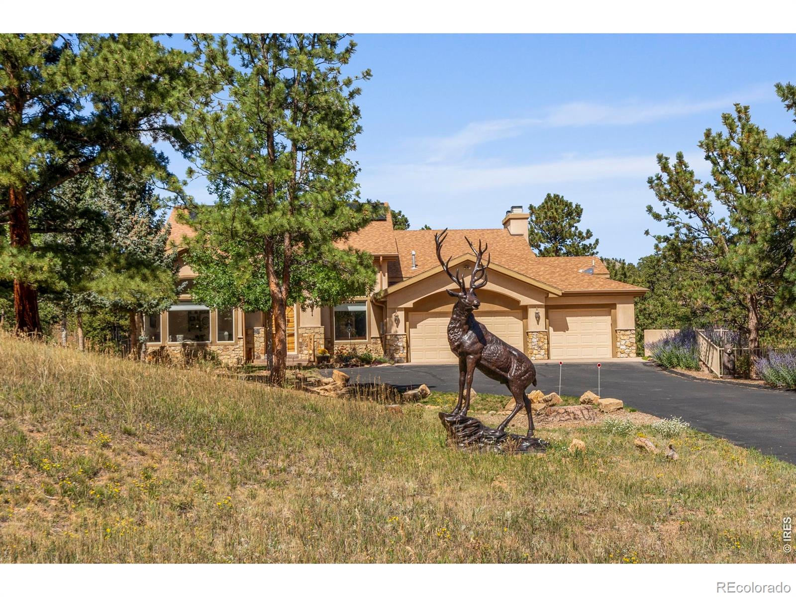 MLS Image #2 for 303  green pine court,estes park, Colorado