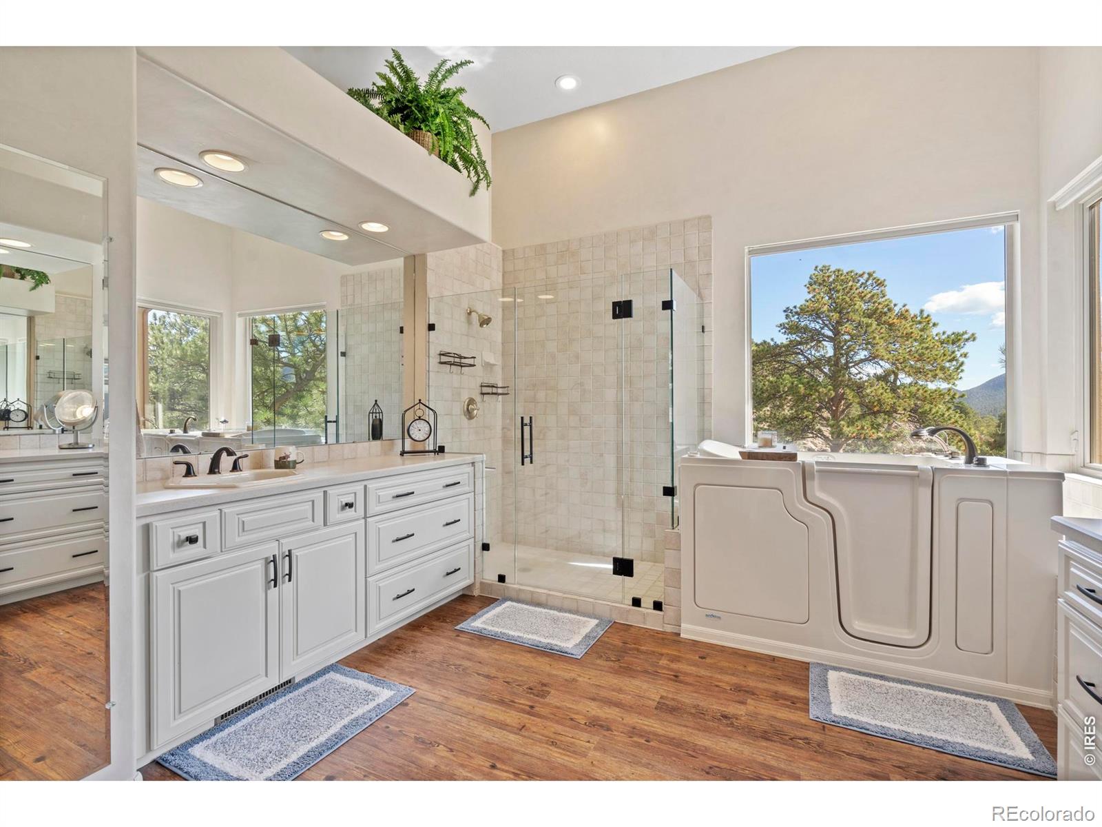 MLS Image #20 for 303  green pine court,estes park, Colorado