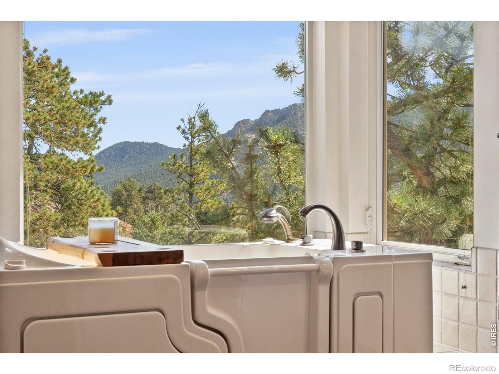 MLS Image #22 for 303  green pine court,estes park, Colorado