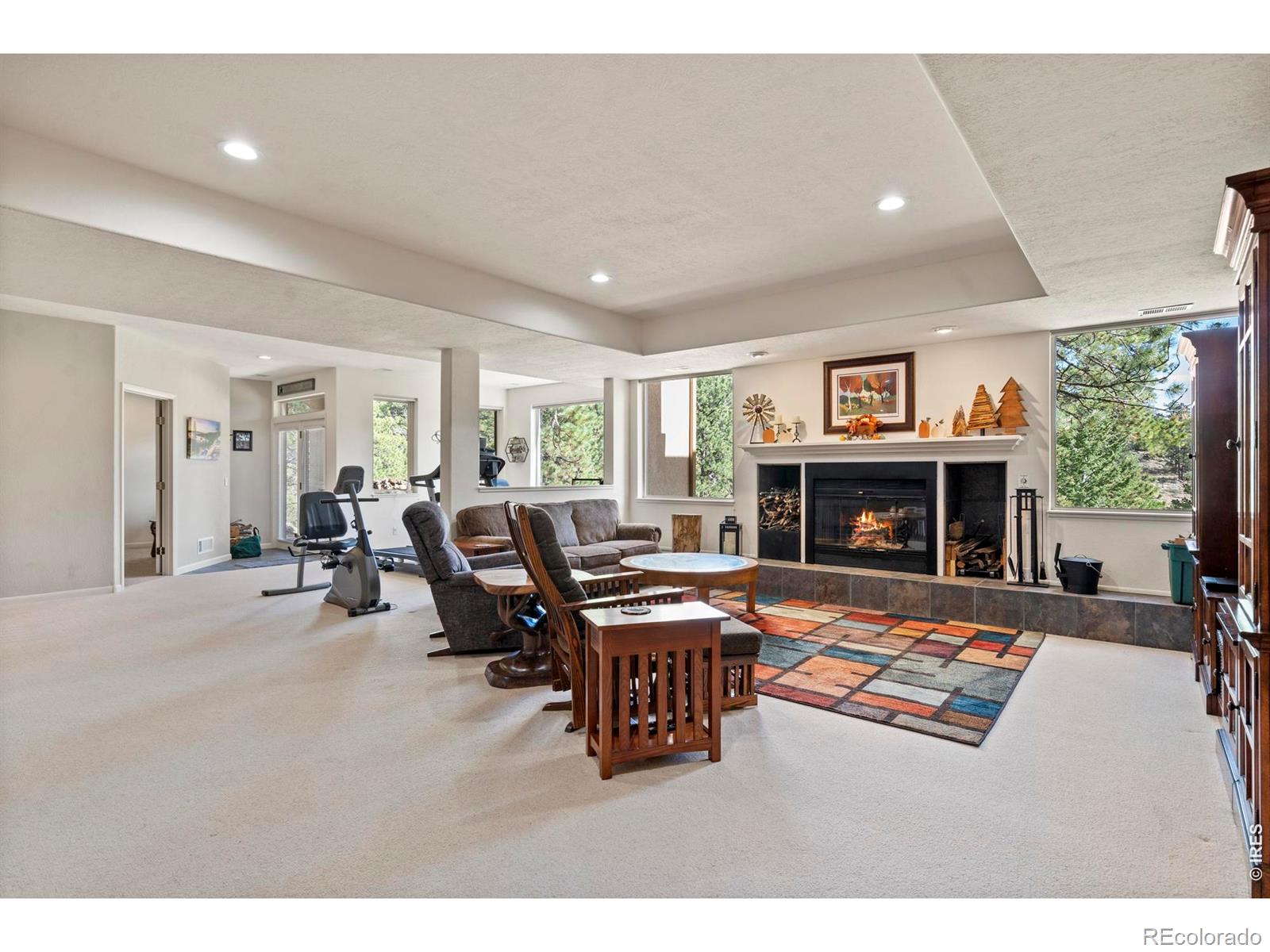 MLS Image #29 for 303  green pine court,estes park, Colorado