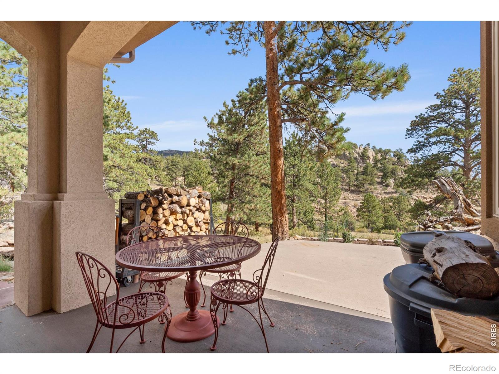 MLS Image #36 for 303  green pine court,estes park, Colorado