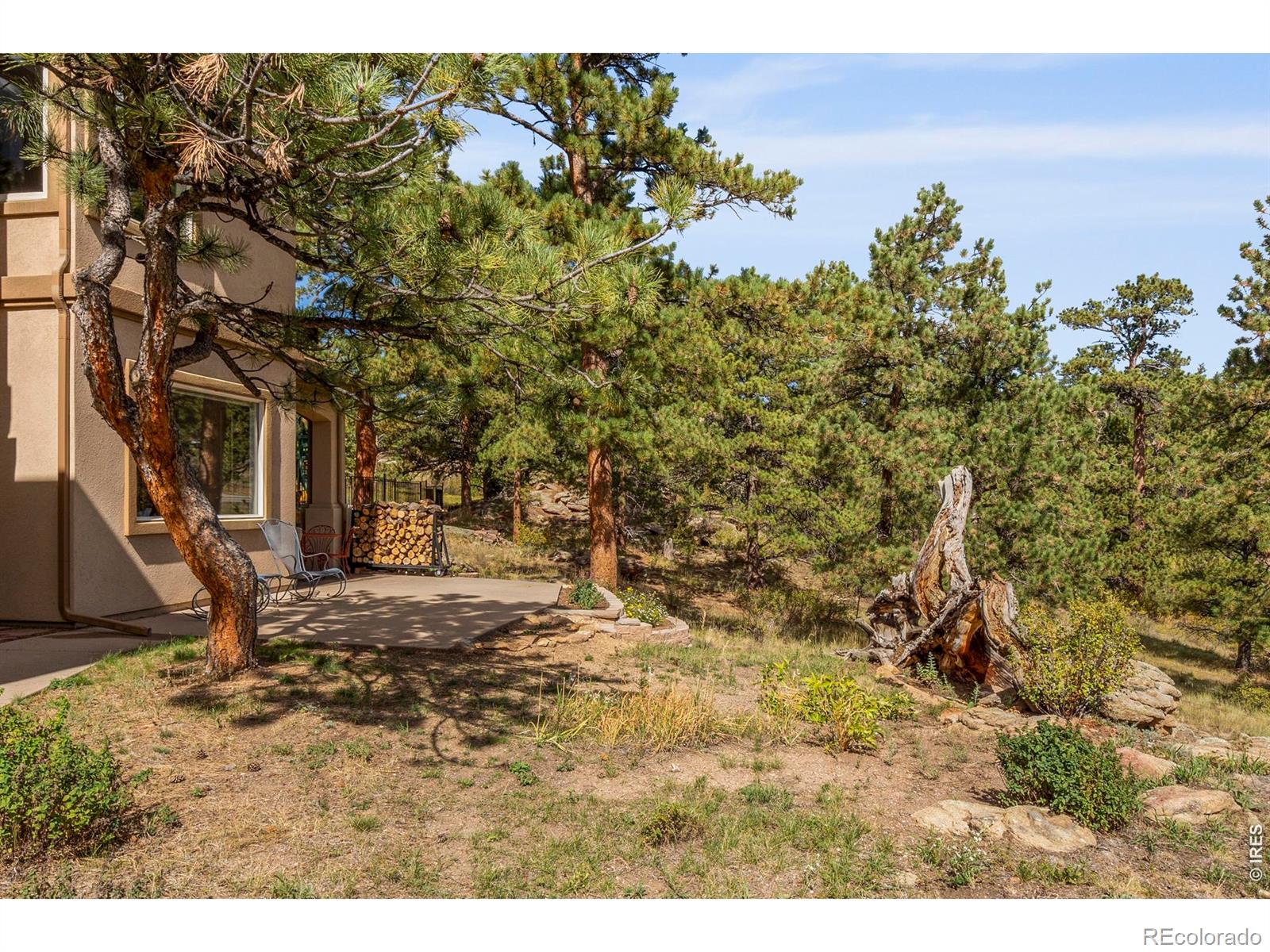 MLS Image #38 for 303  green pine court,estes park, Colorado