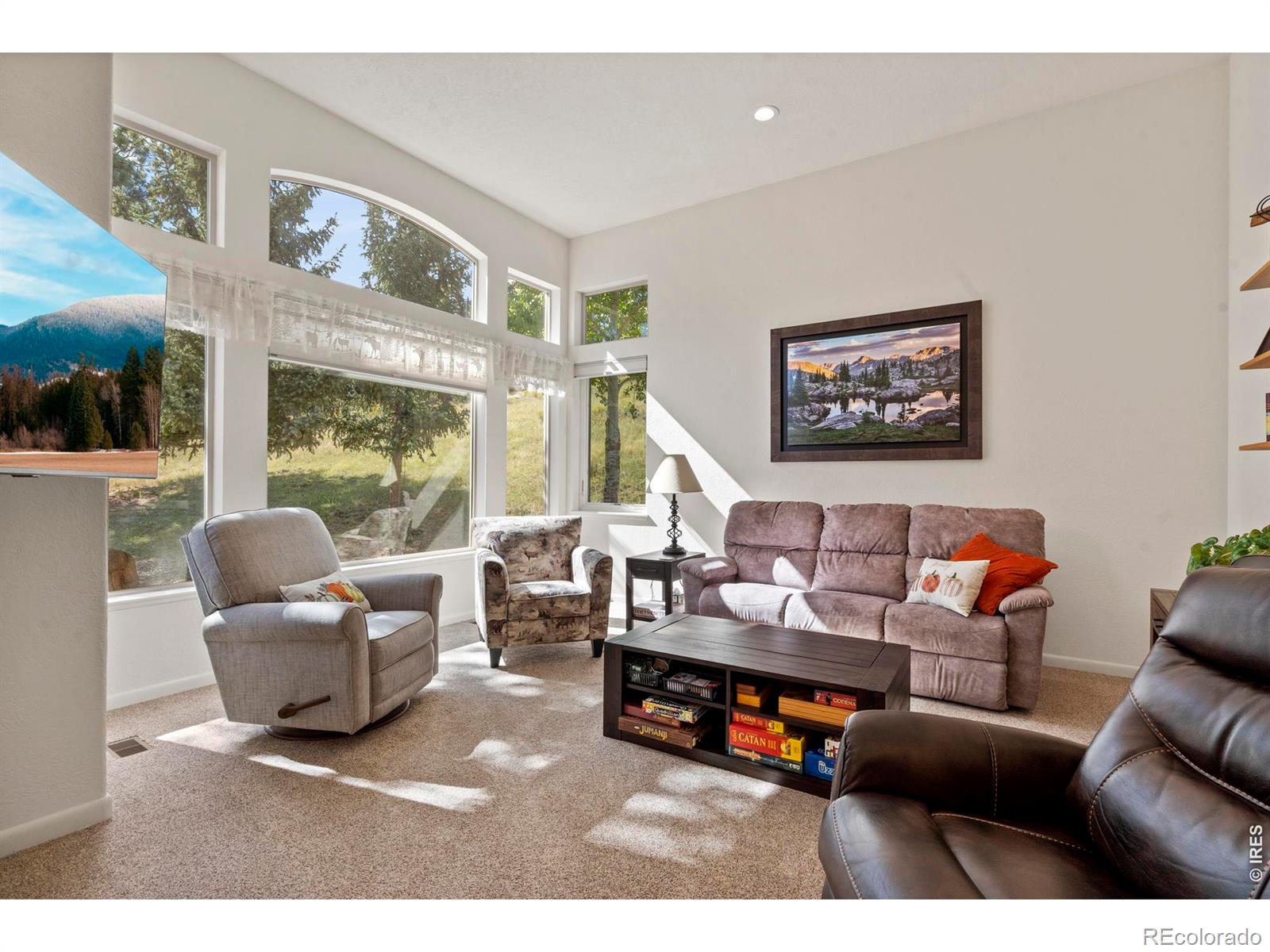 MLS Image #4 for 303  green pine court,estes park, Colorado