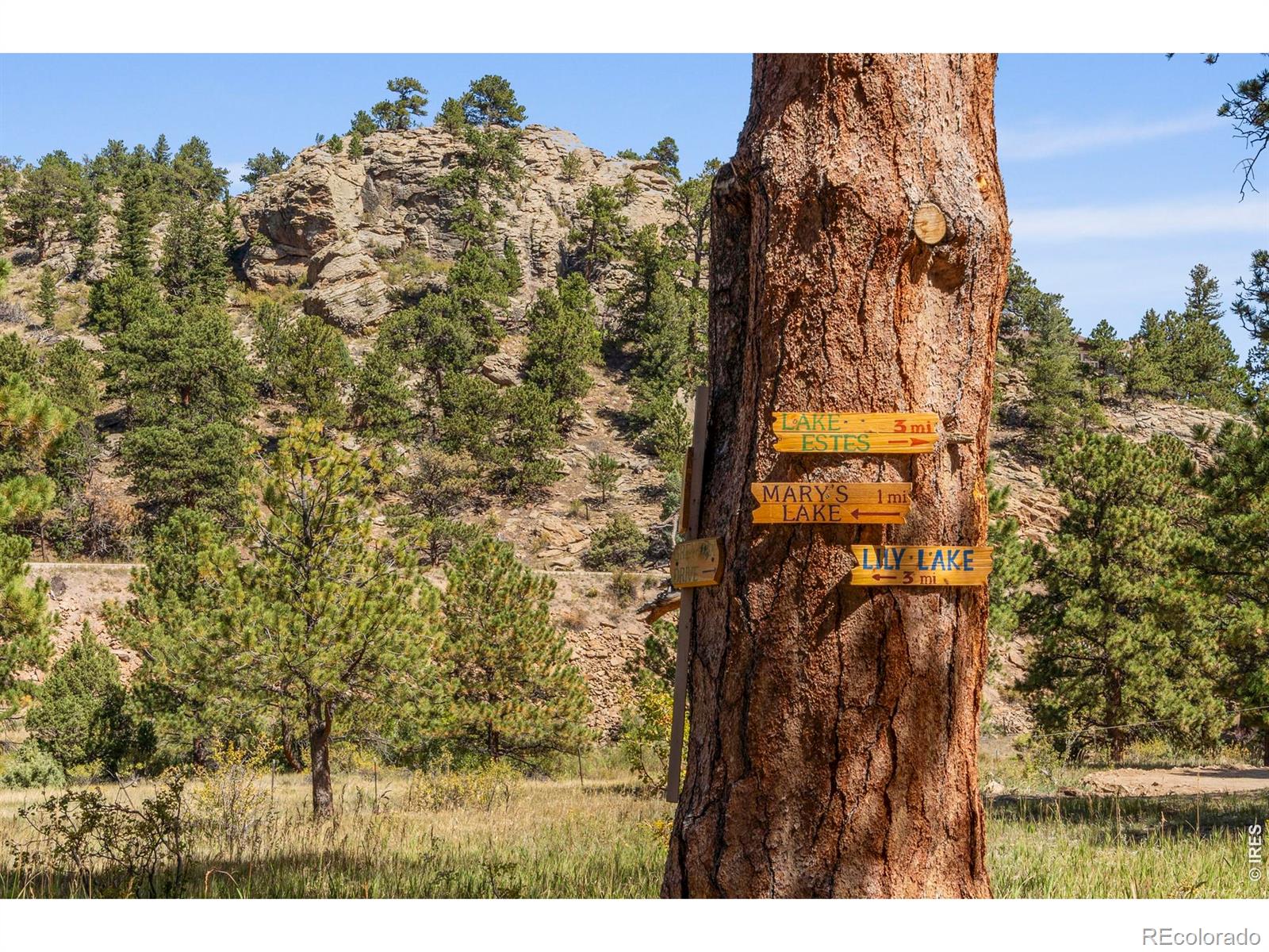 MLS Image #44 for 303  green pine court,estes park, Colorado