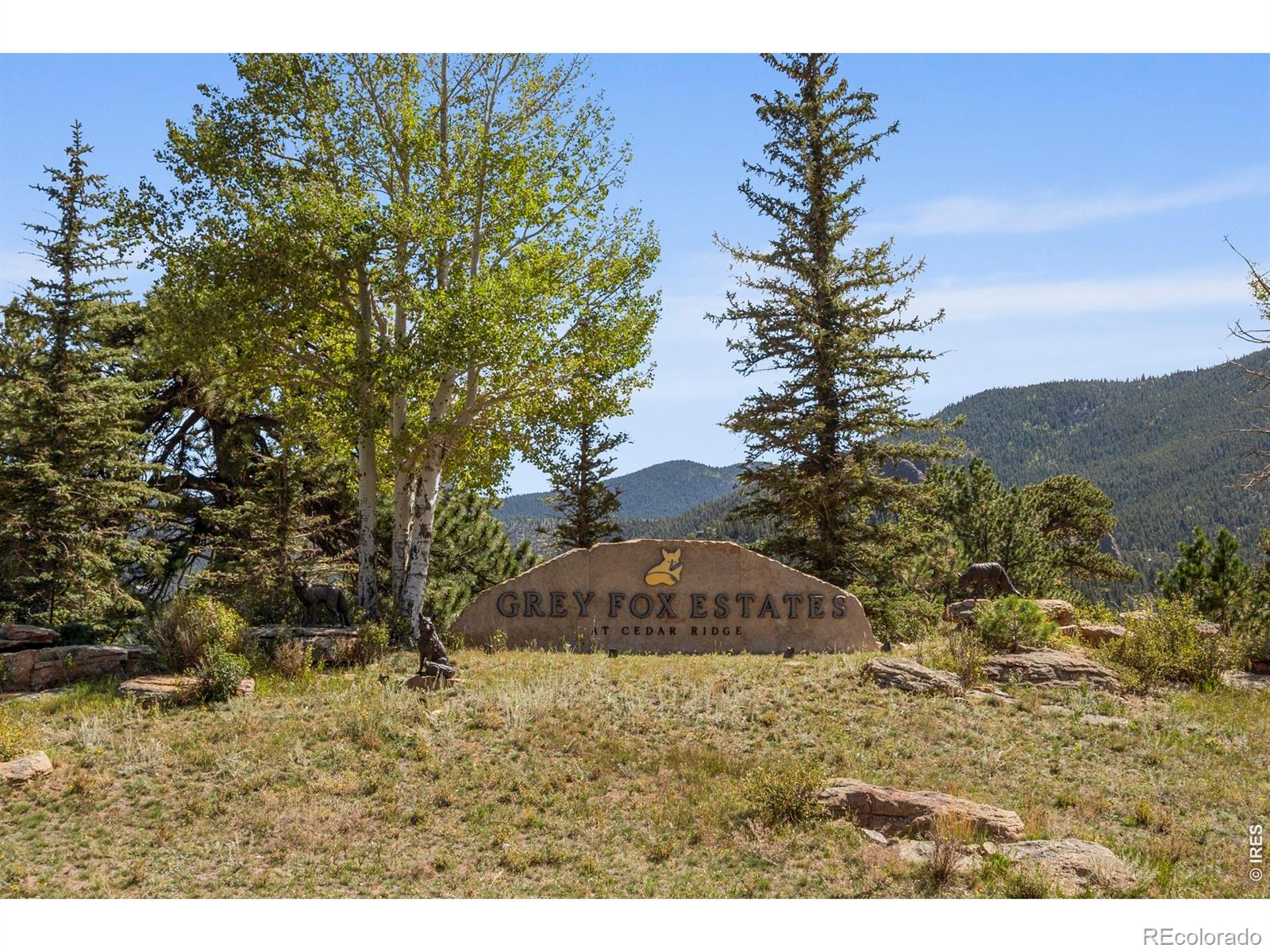 MLS Image #49 for 303  green pine court,estes park, Colorado