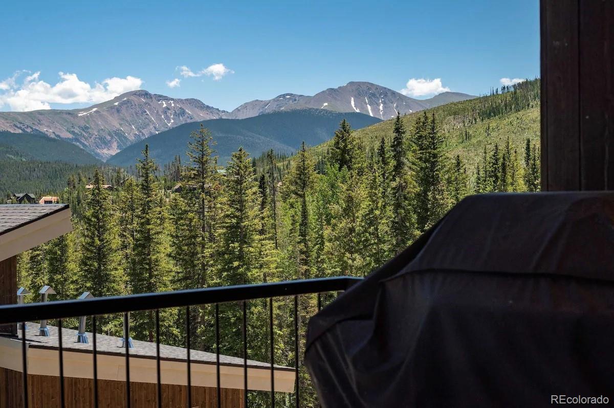 MLS Image #2 for 387  bear trail,winter park, Colorado