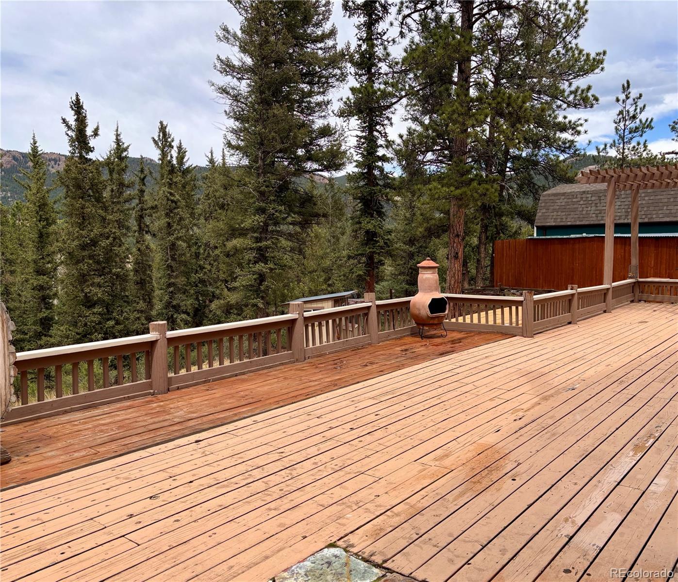 MLS Image #18 for 12447 s danny avenue,pine, Colorado