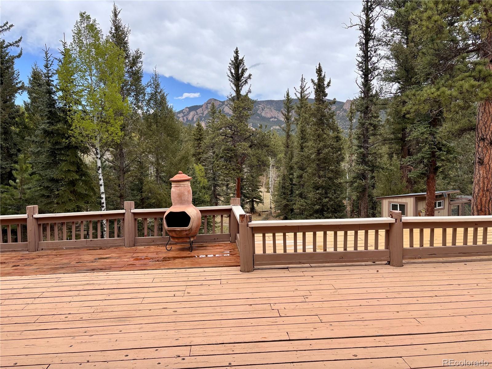 MLS Image #19 for 12447 s danny avenue,pine, Colorado