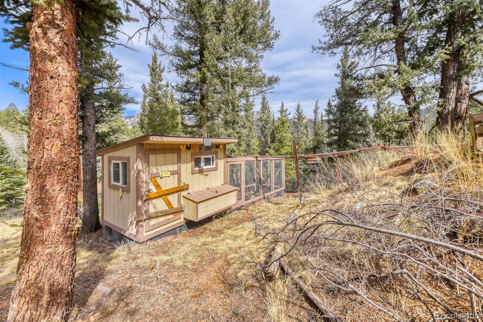 MLS Image #20 for 12447 s danny avenue,pine, Colorado