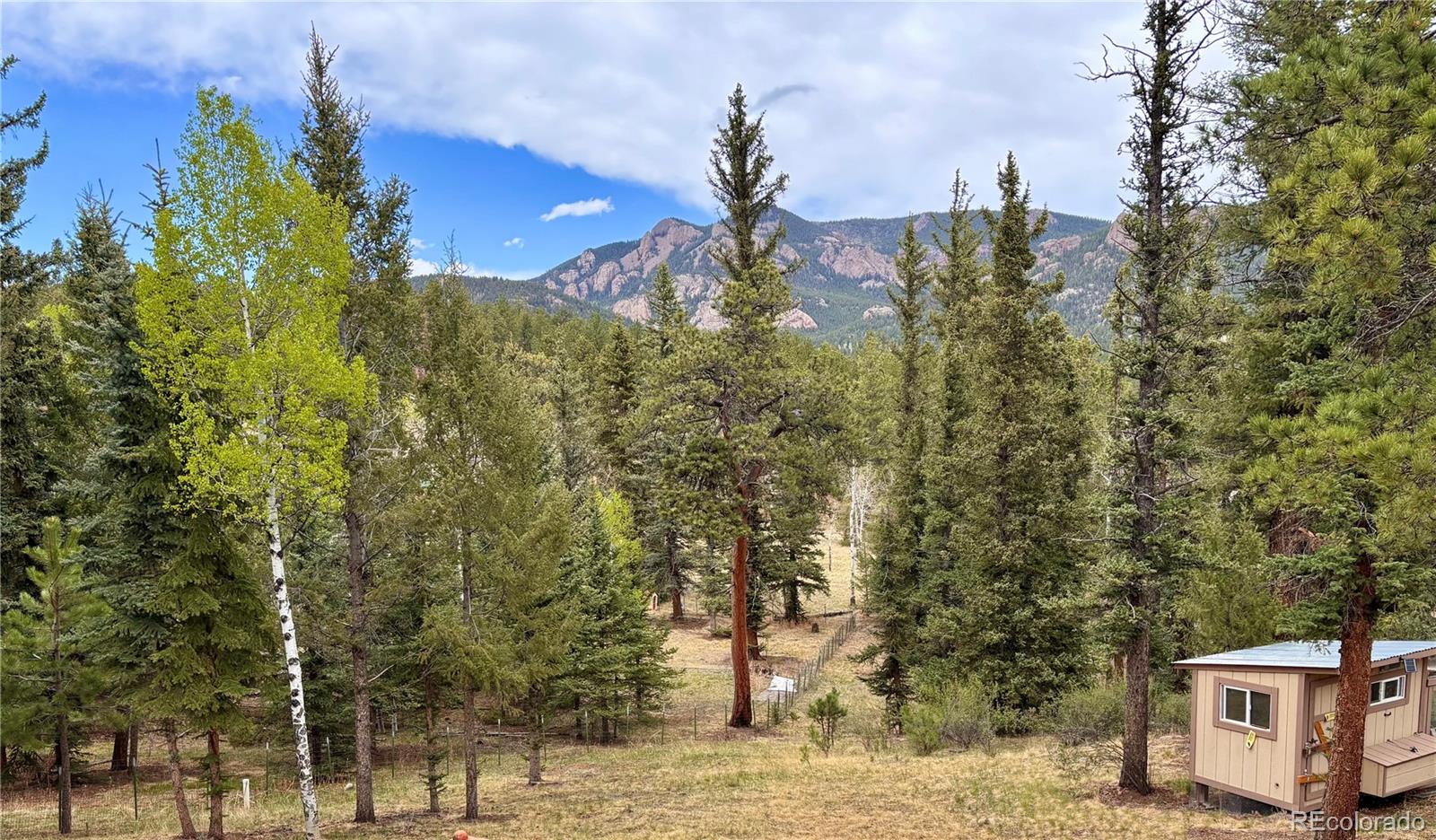 MLS Image #21 for 12447 s danny avenue,pine, Colorado