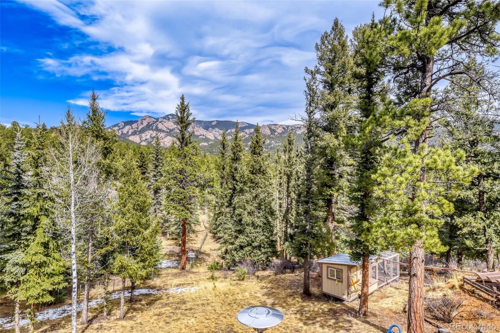 MLS Image #22 for 12447 s danny avenue,pine, Colorado