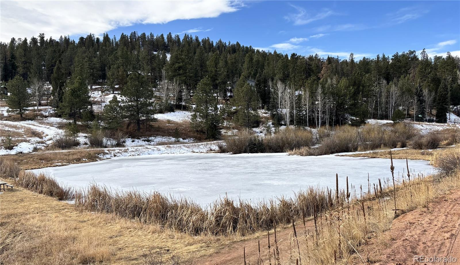 MLS Image #25 for 12447 s danny avenue,pine, Colorado