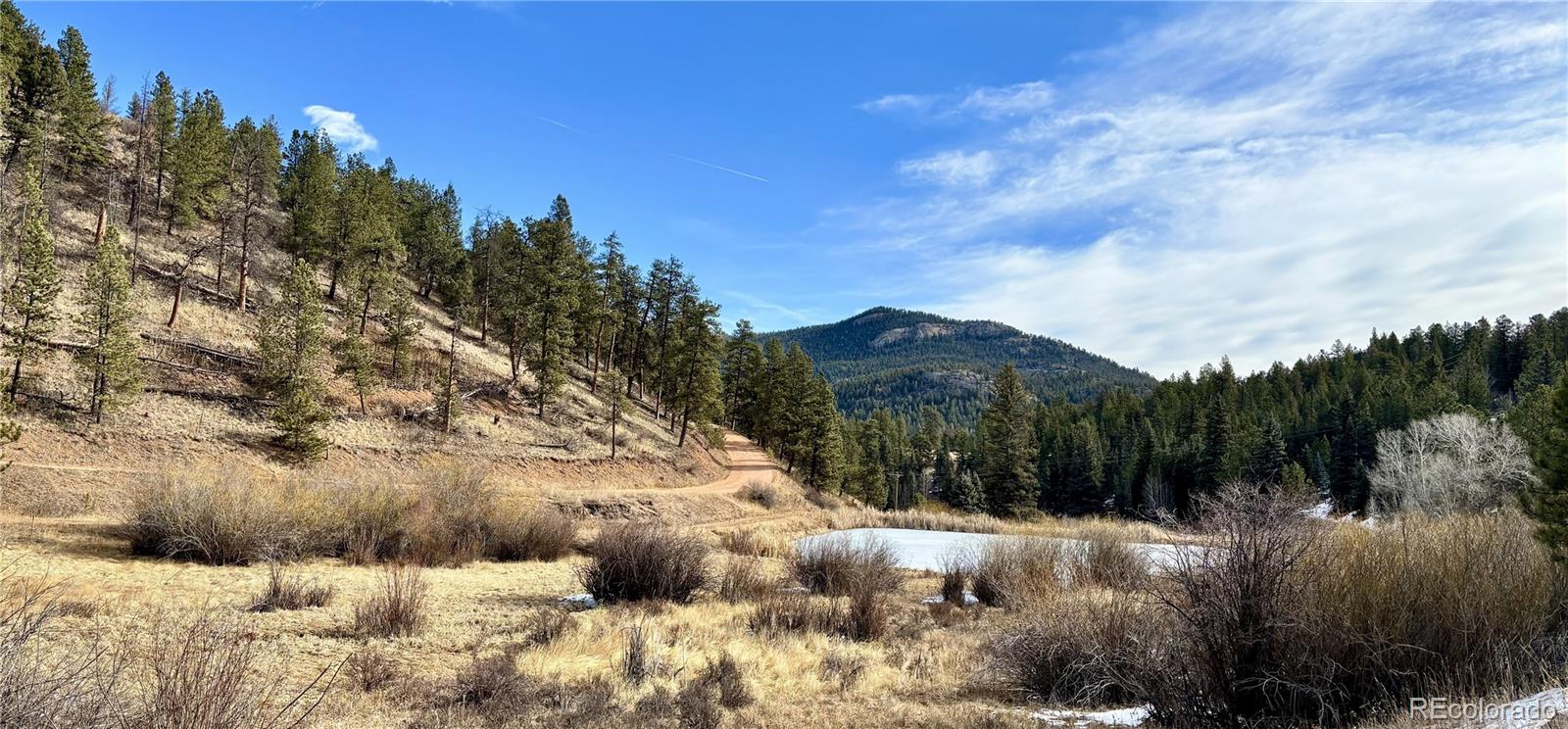 MLS Image #26 for 12447 s danny avenue,pine, Colorado